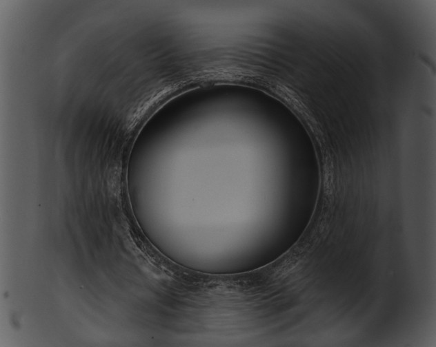 X0000101410434200807141135