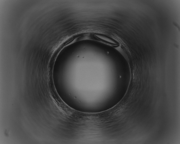 X0000101410436200807141135