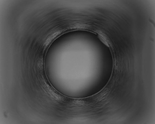 X0000101410437200807141135