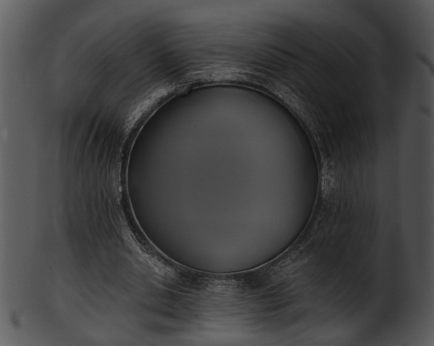 X0000101410438200807141135