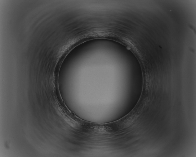 X0000101410439200807141135