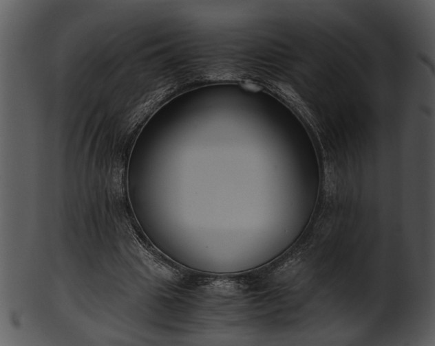 X0000101410441200807141135