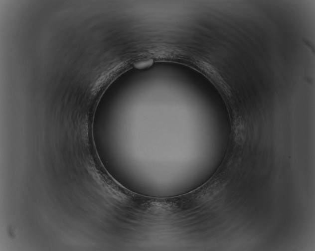 X0000101410442200807141135