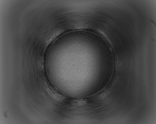 X0000101410443200807141135