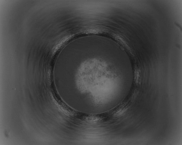 X0000101410444200807141135
