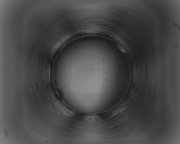 X0000101410446200807141135