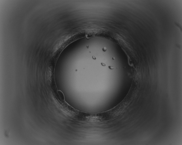 X0000101410448200807141135