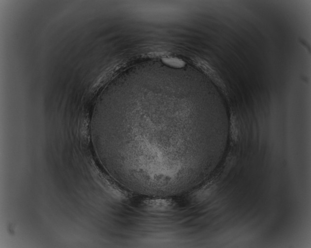 X0000101410449200807141135