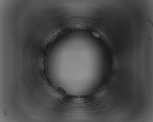 X0000101410450200807141135