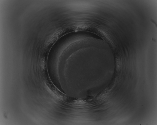 X0000101410451200807141135