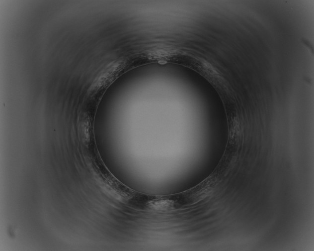 X0000101410452200807141135