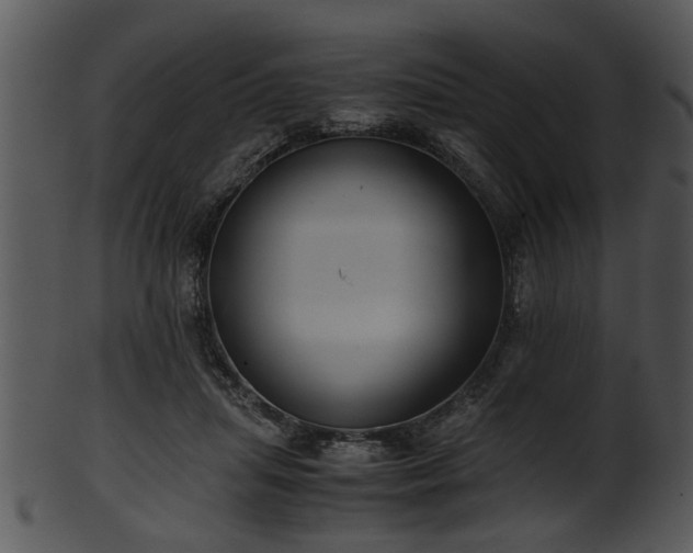X0000101410455200807141135