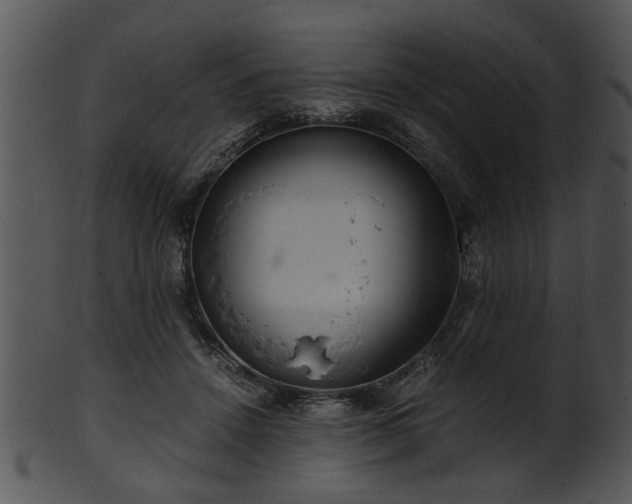 X0000101410456200807141135