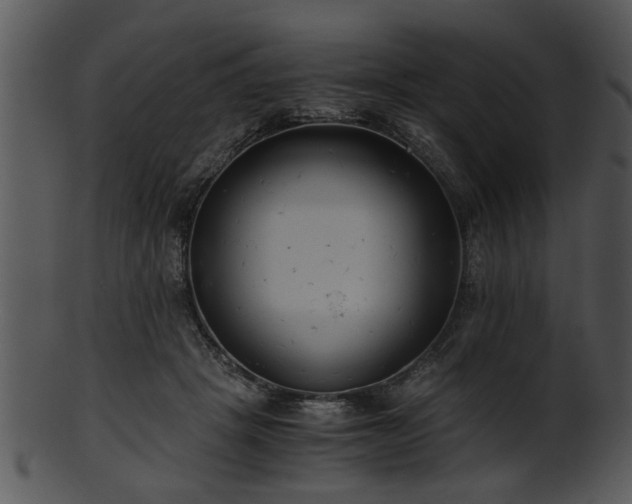 X0000101410457200807141135