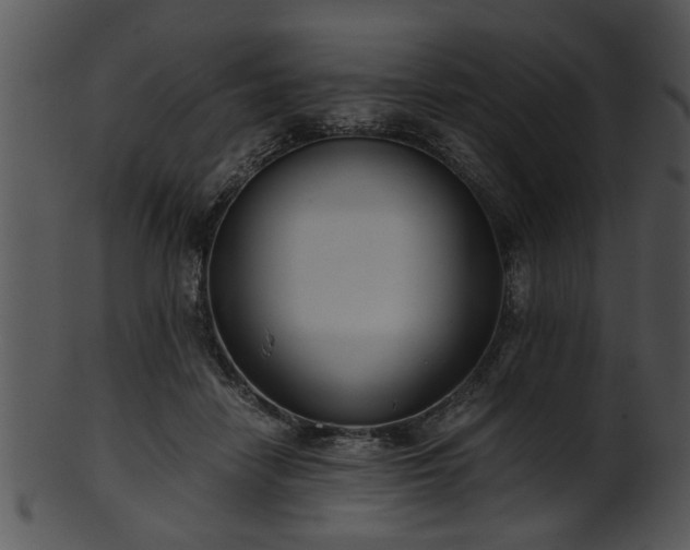 X0000101410458200807141135
