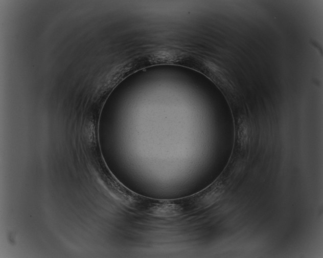 X0000101410459200807141135