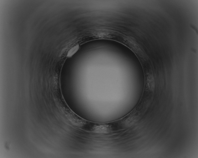X0000101410461200807141135