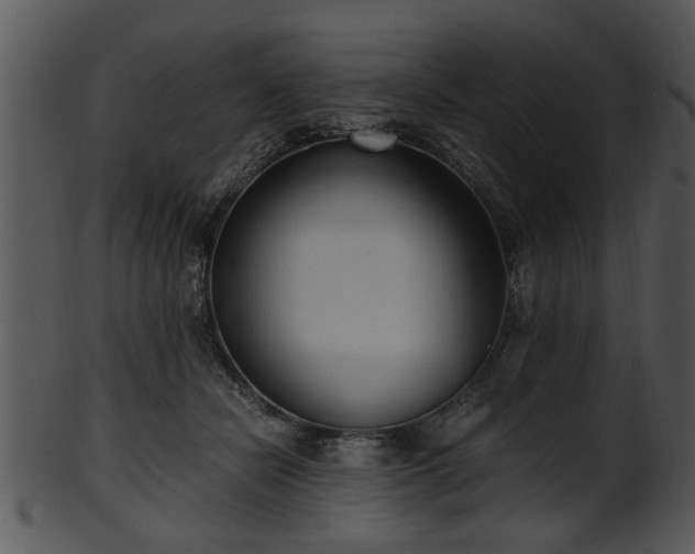 X0000101410462200807141135