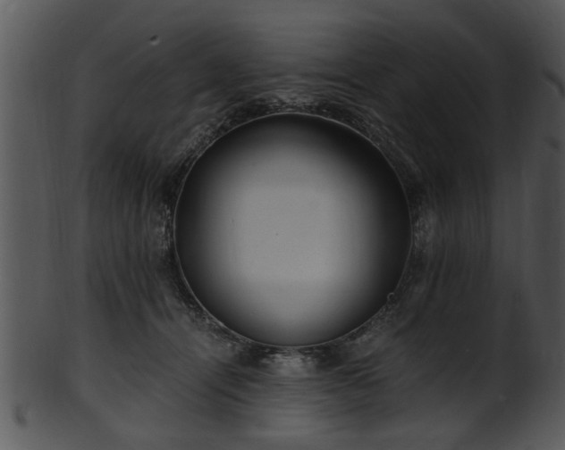 X0000101410464200807141135