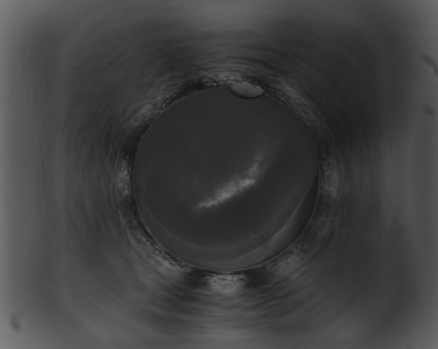 X0000101410465200807141135