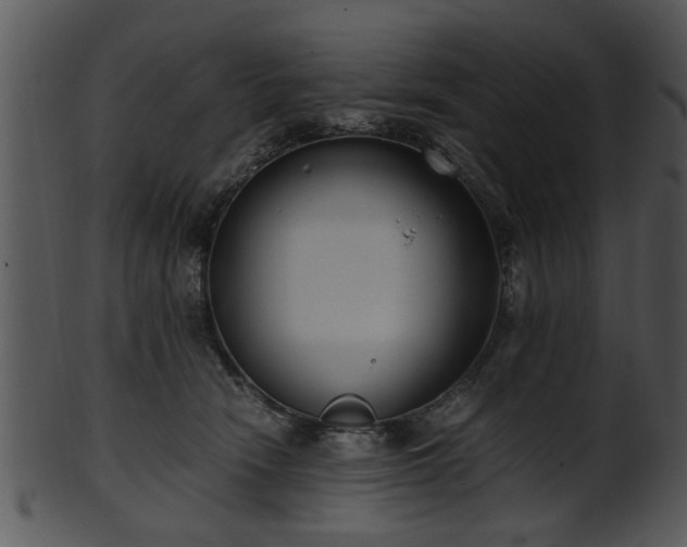 X0000101410466200807141135