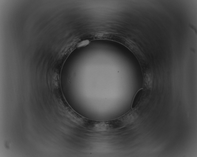 X0000101410470200807141135