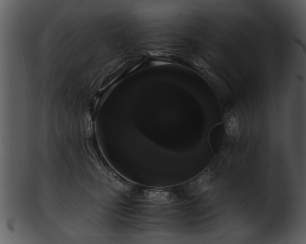 X0000101410471200807141135