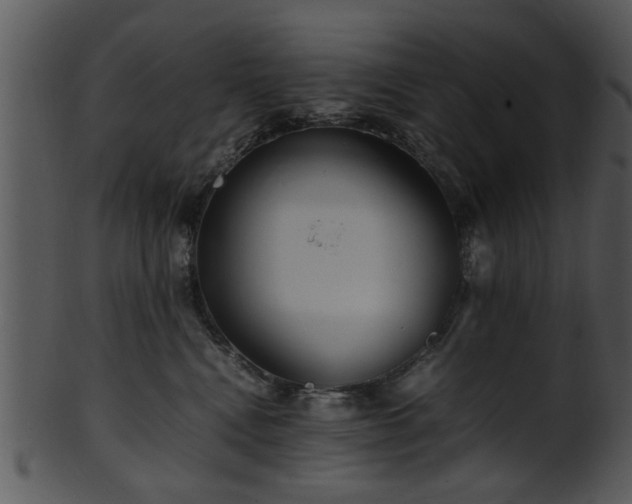 X0000101410472200807141135