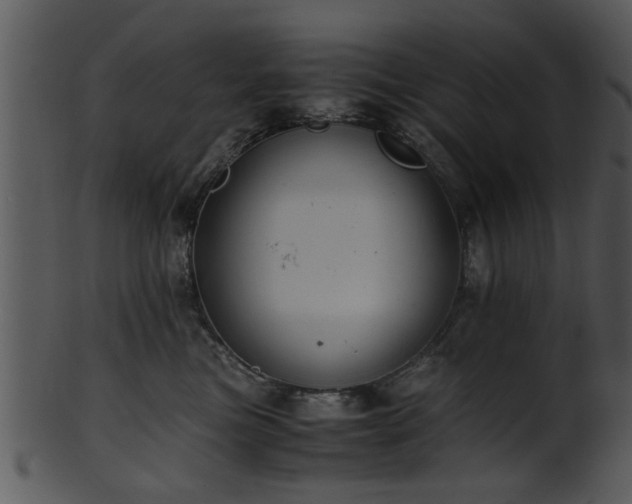 X0000101410473200807141135