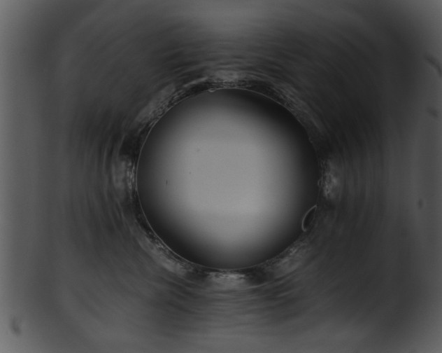 X0000101410476200807141135