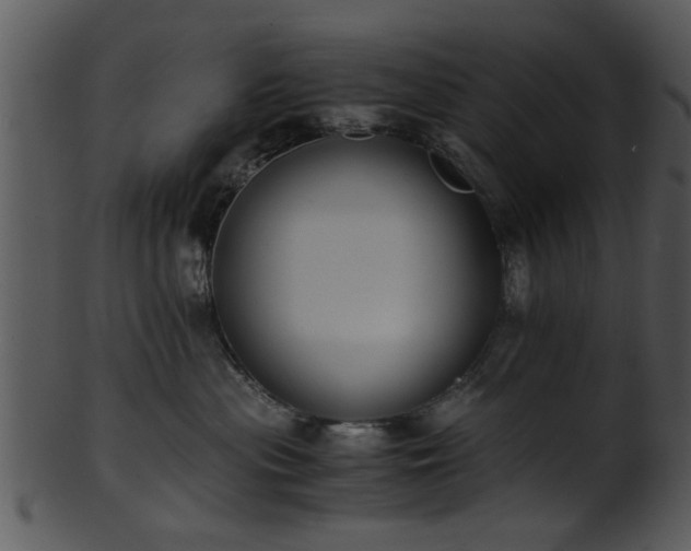 X0000101410477200807141135
