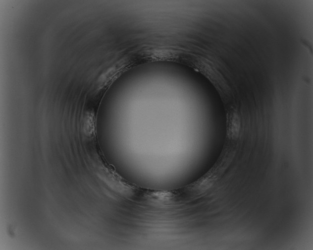 X0000101410478200807141135