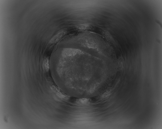 X0000101410479200807141135