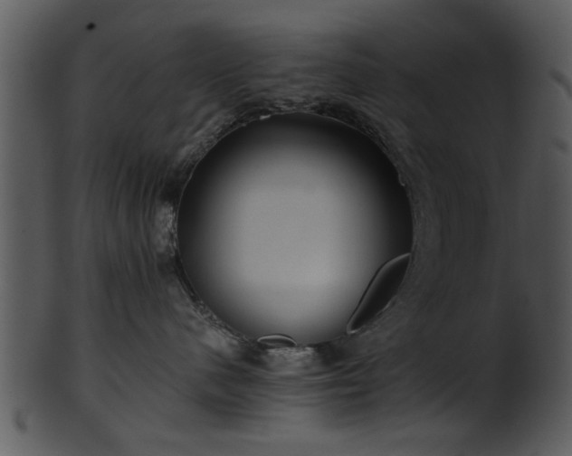 X0000101410480200807141135