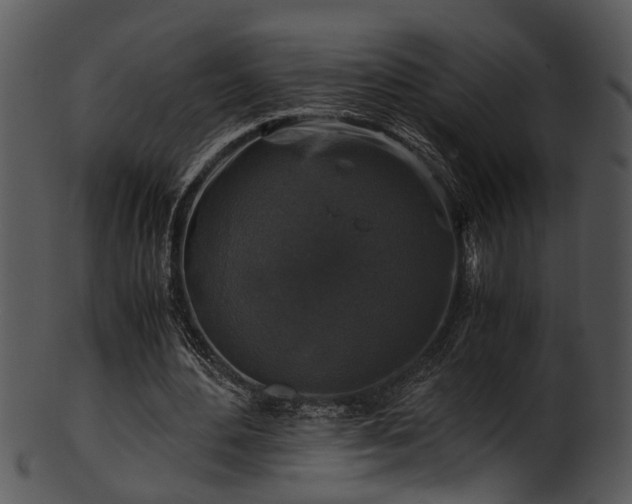 X0000101410484200807141135