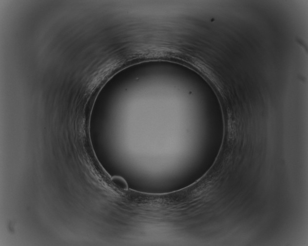 X0000101410485200807141134
