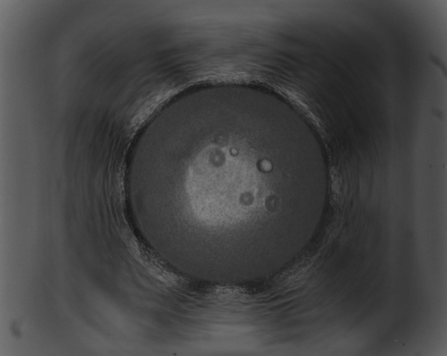 X0000101410487200807141134