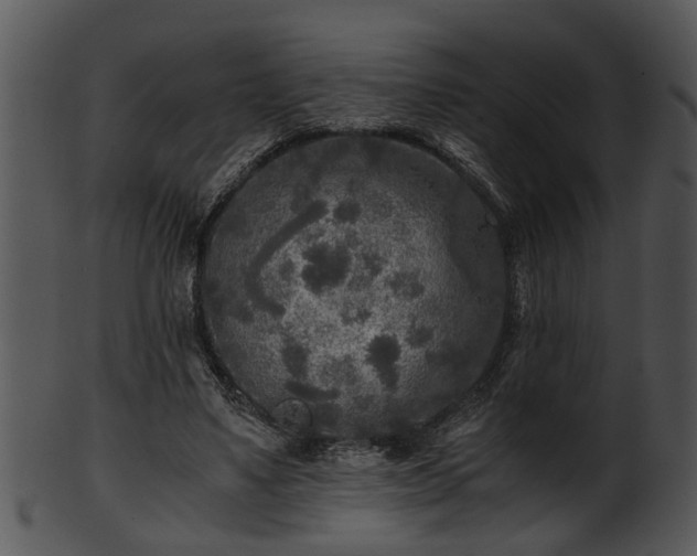 X0000101410491200807141134