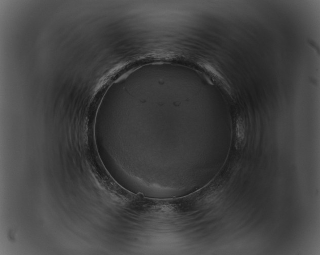 X0000101410492200807141134