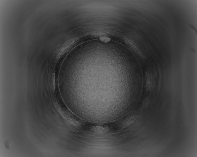 X0000101410494200807141134