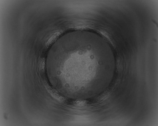 X0000101410495200807141134