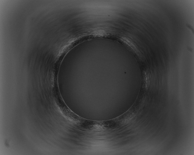 X0000101410496200807141134