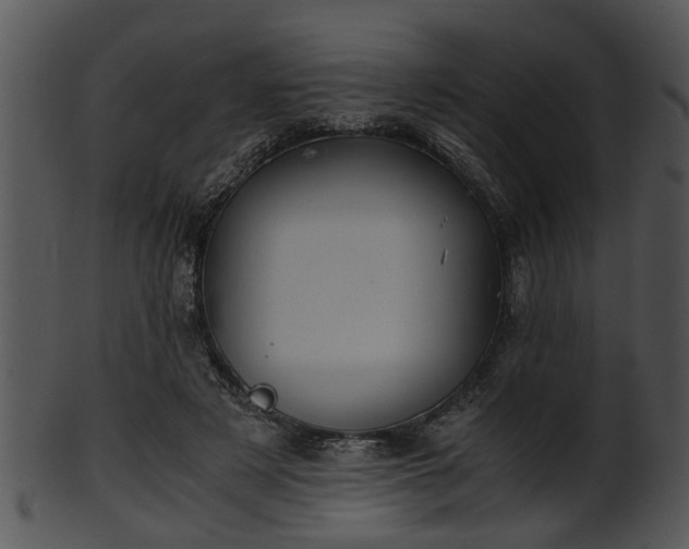 X0000101410497200807141134