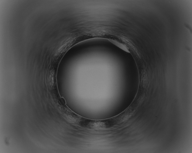 X0000101410501200807141134