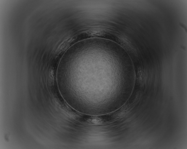 X0000101410506200807141134