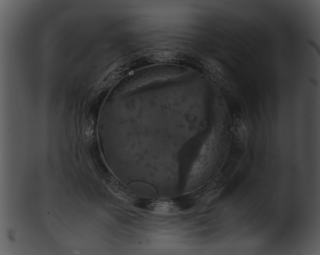 X0000101410507200807141134