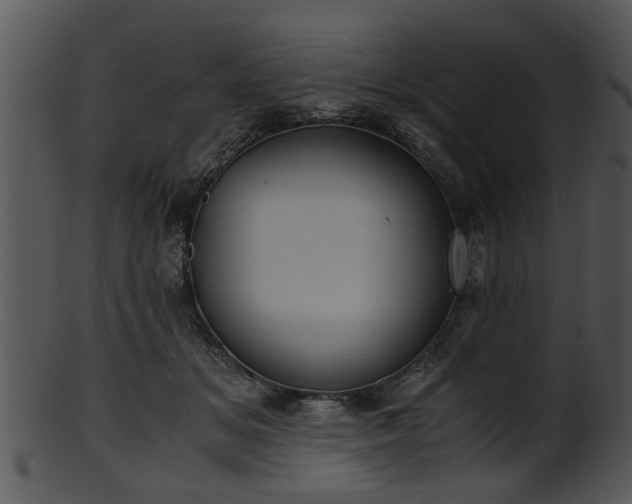 X0000101410509200807141134