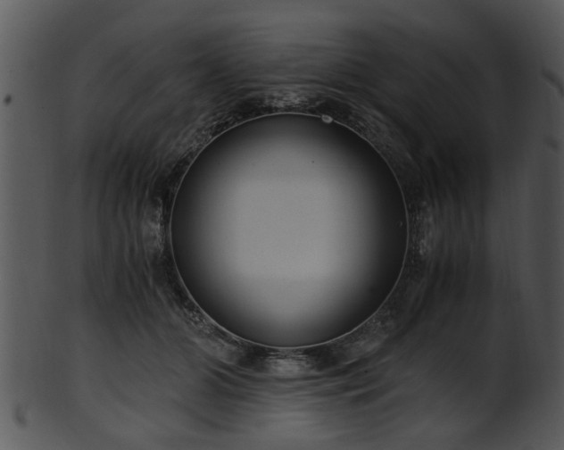 X0000101410510200807141134