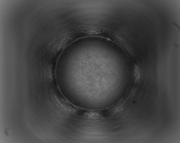 X0000101410512200807141134