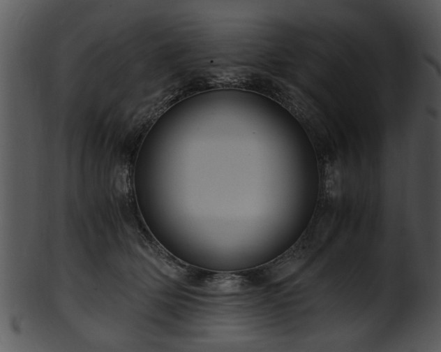 X0000101410514200807141134